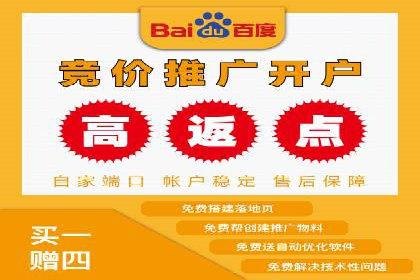 百度竞价推广案例：行业领军者成长故事